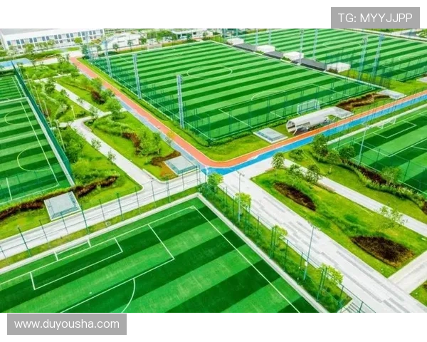 凯发体育网址导航大全,便捷快速访问各类体育娱乐资源 凯发体育网址导航大全,便捷快速访问各类体育娱乐资源