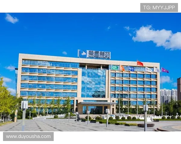 凯发集团官网安全保障措施分析，保障玩家资金与个人信息安全