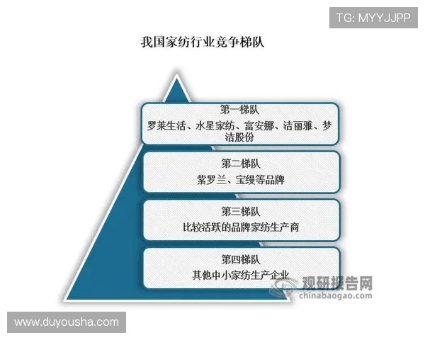 K8电游娱乐平台的未来发展方向与行业竞争格局分析