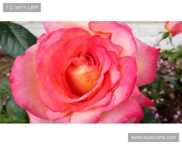 凯发直播注册登录入口官网账号注册与登录安全注意事项详解 凯发直播注册登录入口官网账号注册与登录安全注意事项详解