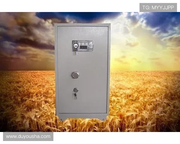 K8凯发登录入口安全登录技巧与常见问题解决方案全解析